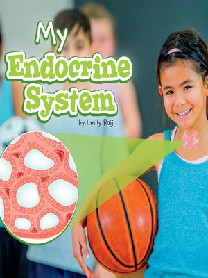 cover image of My Endocrine System